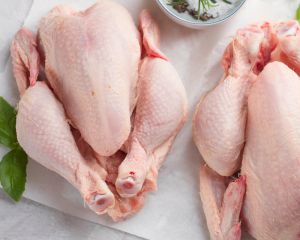 DJ低温冷冻冷风机